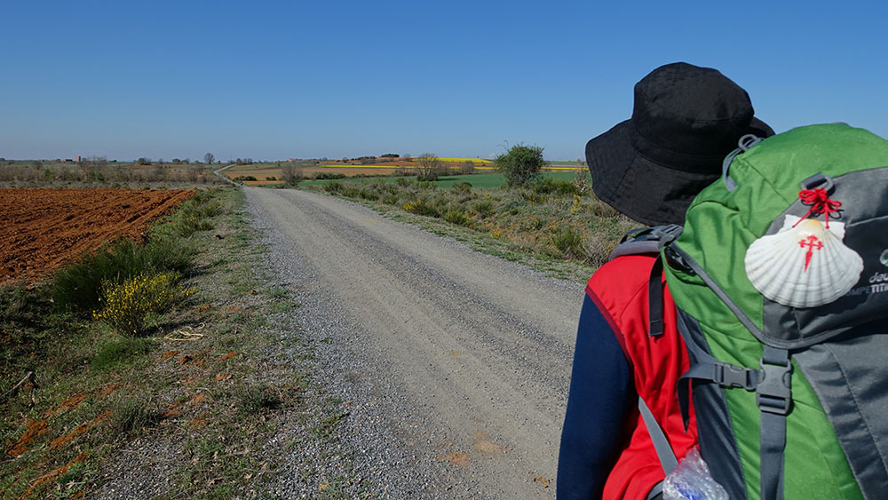 Camino organizado