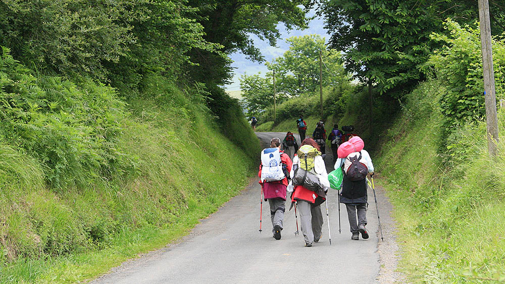 Die Camino für gruppen